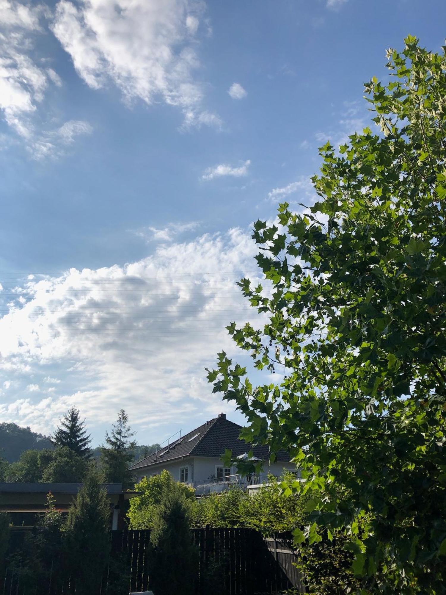 Stilvolle Wohnung Fuer 2-3 Personen - Mit Riesiger Dachterrasse Haigerloch Dış mekan fotoğraf