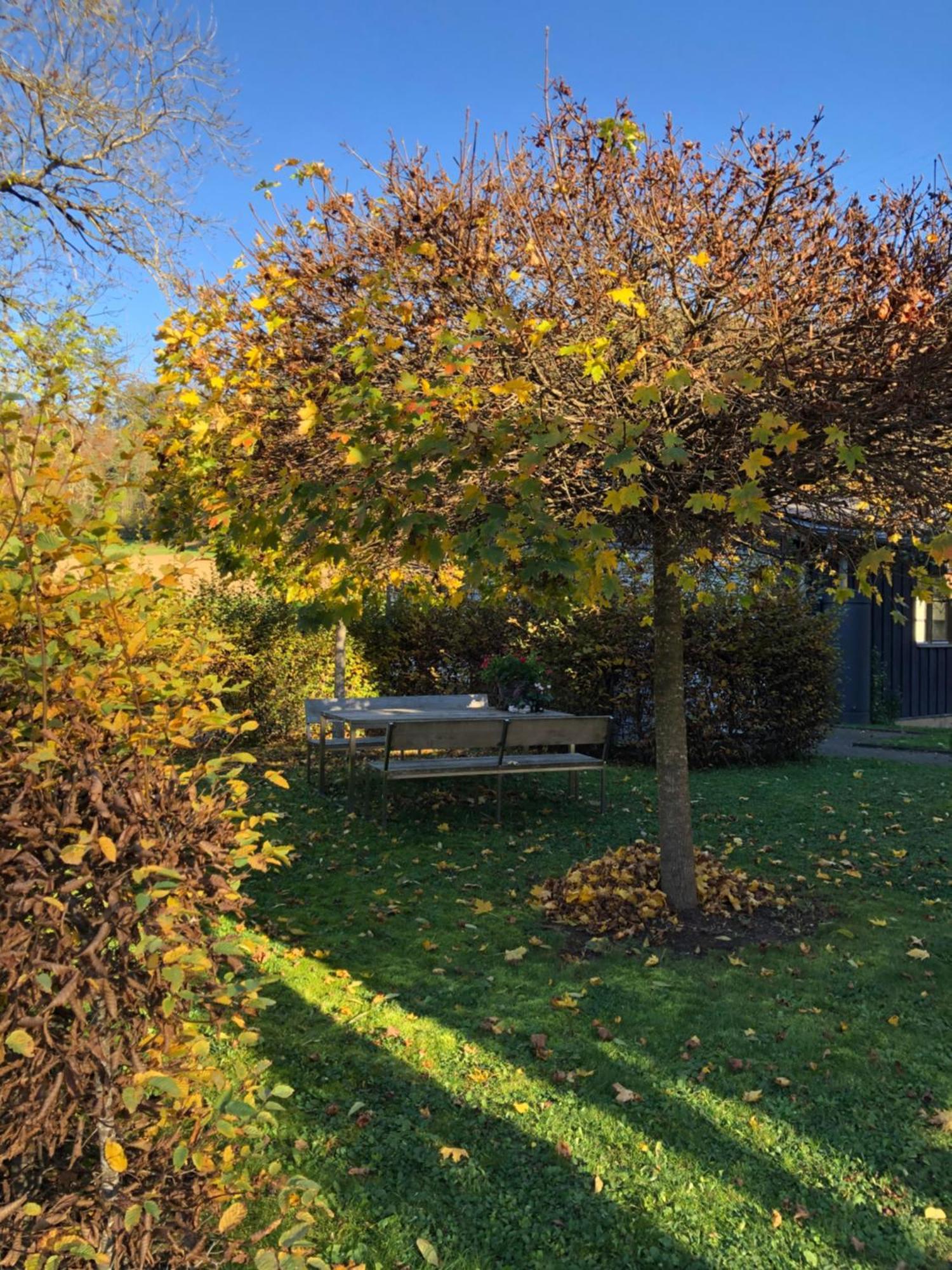 Stilvolle Wohnung Fuer 2-3 Personen - Mit Riesiger Dachterrasse Haigerloch Dış mekan fotoğraf