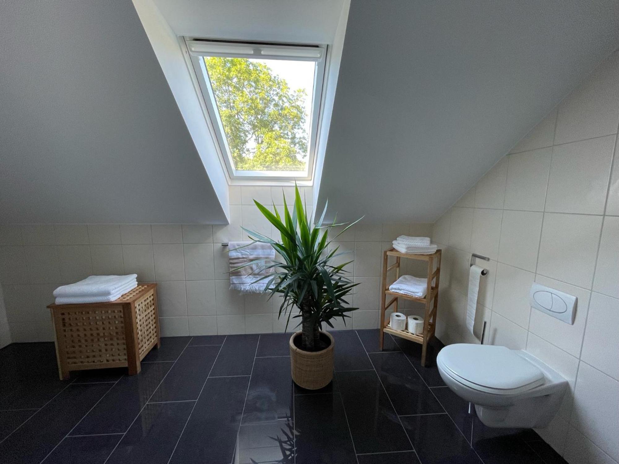 Stilvolle Wohnung Fuer 2-3 Personen - Mit Riesiger Dachterrasse Haigerloch Dış mekan fotoğraf
