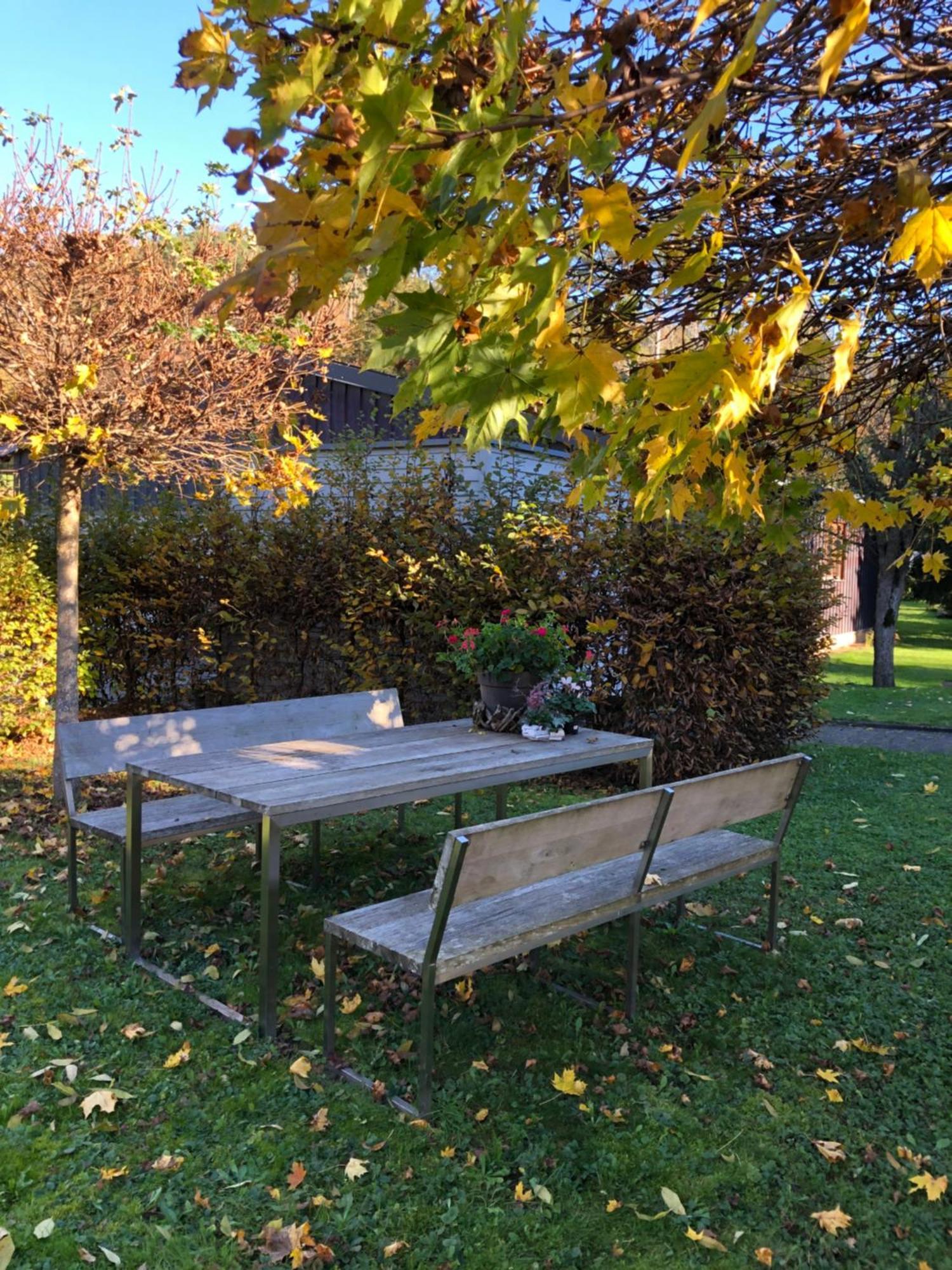 Stilvolle Wohnung Fuer 2-3 Personen - Mit Riesiger Dachterrasse Haigerloch Dış mekan fotoğraf